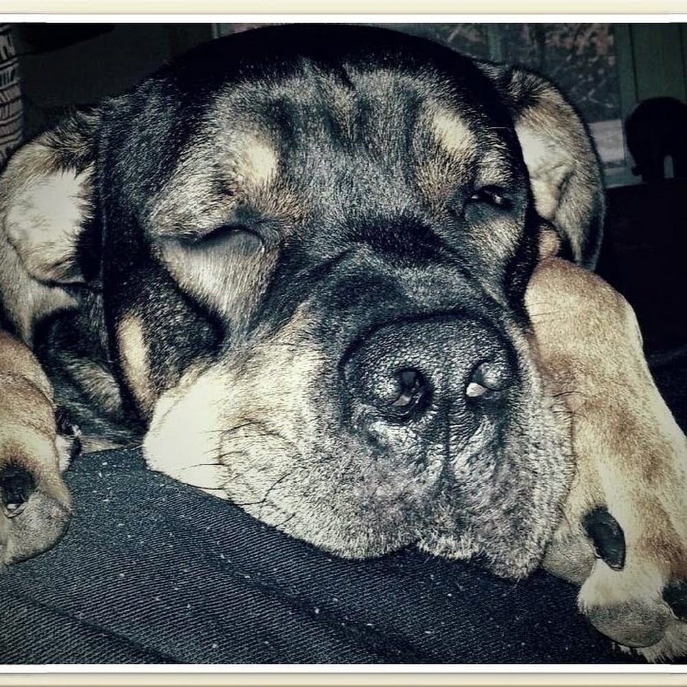 Meet your Posher, Fritz